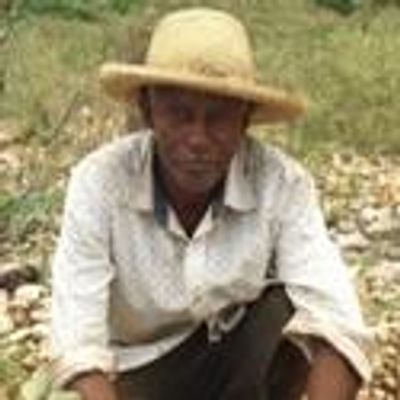 Timberland Helps Haiti Plant 2 Million Trees, and Counting