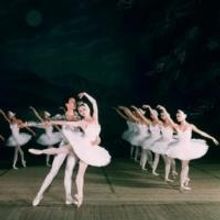 Moscow Festival Ballet's SWAN LAKE Comes to Omaha's Orpheum Theater Tonight