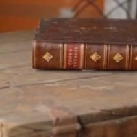 TRAILER: First Look at Elizabeth Gilbert's THE SIGNATURE OF ALL THINGS