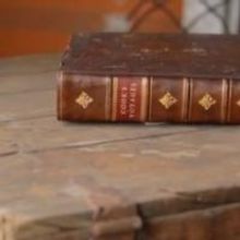 TRAILER: First Look at Elizabeth Gilbert's THE SIGNATURE OF ALL THINGS