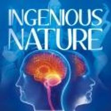 INGENIOUS NATURE Offers Human Nature Talkback Series at the SoHo Playhouse, 12/20
