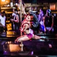 Mixed Blood Theatre's Next Production Opens 4/17