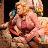 Review – THE OLD FRIENDS Offers an Albee-ish Side of Foote