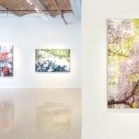 Photo Flash: Gallery Henoch Presents a Spotlight on Susan Goldsmith and Janet Rickus