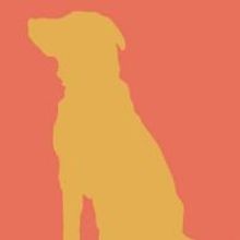 Hanover Little Theatre's SYLVIA Opens Friday