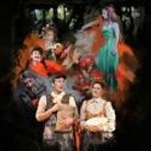 BWW Exclusive STAGE ART- INTO THE WOODS!