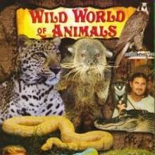 Wild World of Animals Brings Exotic Animals to Stamford's Palace Theatre Today