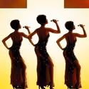 Fox PAC Presents DREAMGIRLS, 1/10