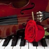 Michigan Philharmonic Presents 2013-2014 Season