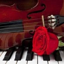 Michigan Philharmonic Presents 2013-2014 Season