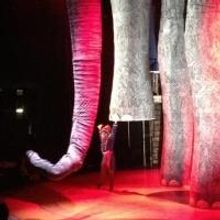 BARNUM: Life In The Circus!