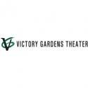 Victory Gardens Announces DISCONNECT Cast