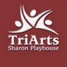 Justin Ball Named New Managing Director of TriArts Sharon Playhouse
