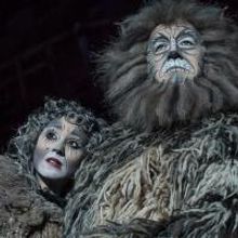 CATS Coming to Marlowe Theatre, 16-28 June