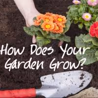Stories on Stage to Present HOW DOES YOUR GARDEN GROW? with Special Guest Kathleen…