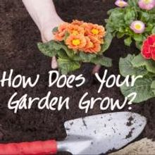 Stories on Stage to Present HOW DOES YOUR GARDEN GROW? with Special Guest Kathleen…