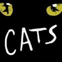 Actors' Playhouse Pre-Professional Youth Campers Present CATS, 8/10 & 11