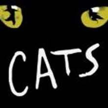 Actors' Playhouse Pre-Professional Youth Campers Present CATS, 8/10 & 11