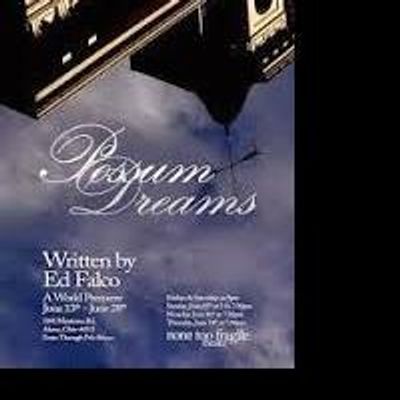 BWW Reviews: Acting Far Surpasses Script in POSSUM DREAMS at None Too Fragile