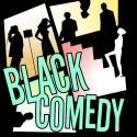 No Rules Theatre Begins Signature Theatre Residency with BLACK COMEDY, Now thru 3/2