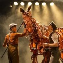 BWW Reviews: Award-Winning WAR HORSE Dazzles Audiences in Providence