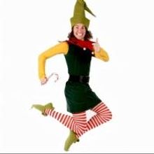 Photo Flash: Garret Storms Stars in WaterTower Theatre's THE SANTALAND DIARIES, Beg. 