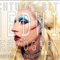 TheatreLAB's HEDWIG AND THE ANGRY INCH Opens Tonight