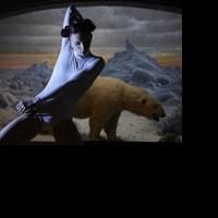 The American Museum of Natural History Presents ON THE NATURE OF THINGS: A NEW WORK…