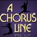 Miss New Jersey Erica Scanlon Harr Featured in Eagle Theatre's A CHORUS LINE, Now…