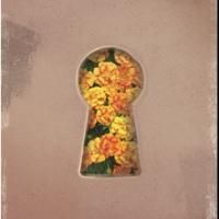 The Theatre School at DePaul Presents VIGILS, Now thru 11/16