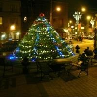 East Passyunk Avenue Kicks Off Holidays at Tree Lighting Party Tonight