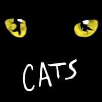 CATS Confirmed for Palladium Return This Autumn