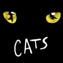 CATS Confirmed for Palladium Return This Autumn