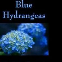 Alzheimer's 'Blue Hydrangeas' Nominated for  IndieReCon's Best Indie Novel and Best A