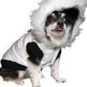 FURRY FRIENDS ON THE RUNWAY Set for NYC's Fall 2012 Fashion Week Today, 9/5