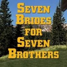 Ocean Professional Theatre Presents SEVEN BRIDES FOR SEVEN BROTHERS, Now thru 6/29