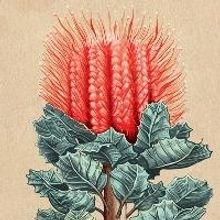 Brink to Bring Patrick White Short Story to the Stage in 2015