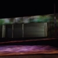 BWW Reviews: PLAYHOUSE Gets Serious With THE SEAGULL