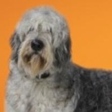 Broadway-Bound BECAUSE OF WINN-DIXIE Extends at Delaware Theatre Company, Thru 5/10