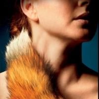 Furious Theatre to Present FOXFINDER U.S. Premiere in Pasadena, Jan 8-Feb 2