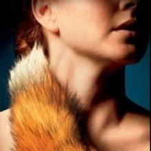 Furious Theatre to Present FOXFINDER U.S. Premiere in Pasadena, Jan 8-Feb 2