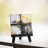 Maleah Torney Photography to Showcase “Modern Florals Photo Set” at GBK's Luxury…