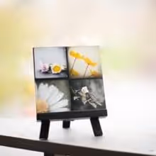 Maleah Torney Photography to Showcase “Modern Florals Photo Set” at GBK's Luxury…