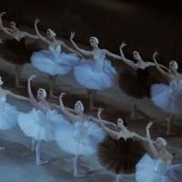 BWW Reviews: The Corps de Ballet Is the Star of the MARIINSKY BALLET's 'Swan Lake'…