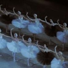 BWW Reviews: The Corps de Ballet Is the Star of the MARIINSKY BALLET's 'Swan Lake' at