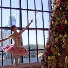 The Houston Ballet Presents Free Wortham Theater Center Tree Lighting Ceremony Today