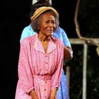 Lifetime's THE TRIP TO BOUNTIFUL, Starring Cicely Tyson, Airs Tonight