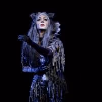 Andrew Lloyd Webber on Initial Reaction to CATS: 'Everyone Thought We Were…