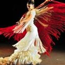 FOREVER FLAMENCO Returns to the Fountain Theatre, 2/10