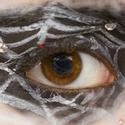 Pandora Productions’ 2012/2013 Season Opens With KISS OF THE SPIDERWOMAN